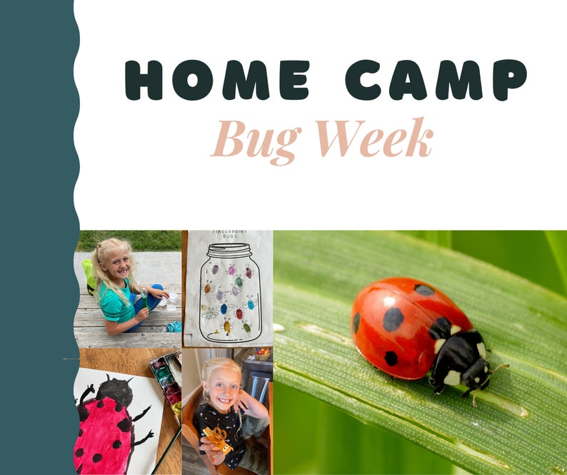 Bugweek Activity's Bug Week Activity Pack for Kids – Insect Crafts & Learning (printable ...