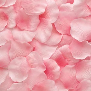 Rosewater Toner