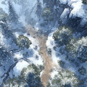 Winter Maps, Wald, Maps, Eis, Ruin, D&D, Tundra, Grid Maps, Roll20, Dungeon Master, Dnd Tile, digitale Karte, Karten für Miniatur