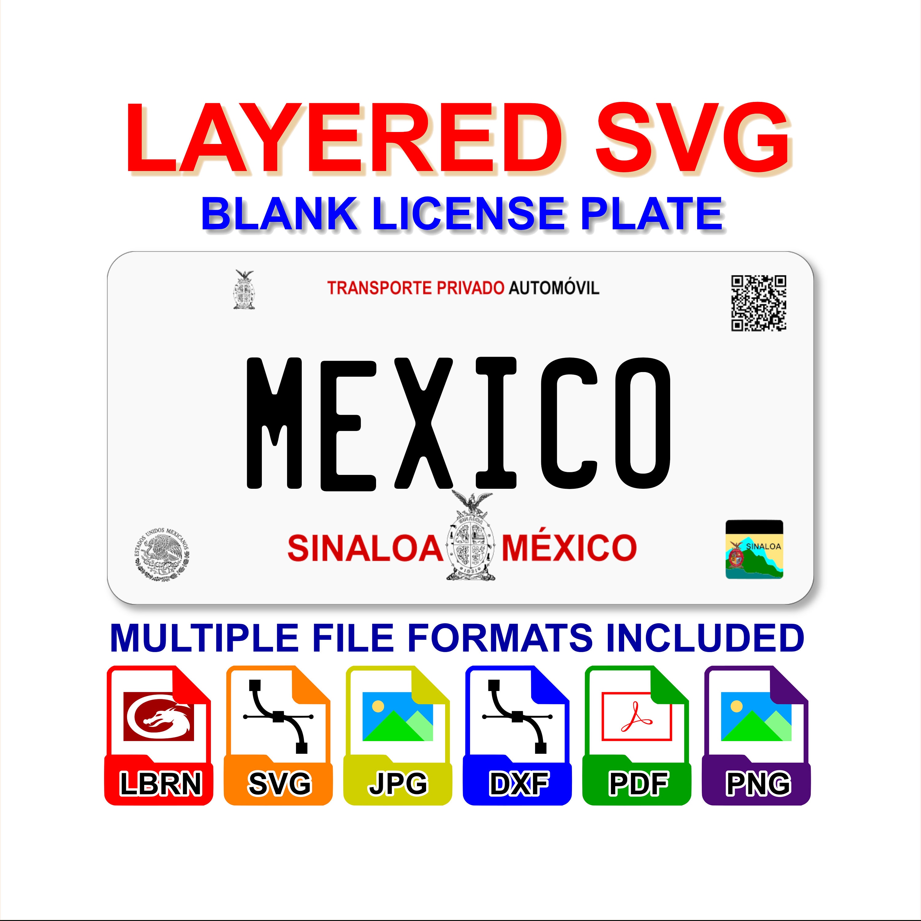 Beyond the Bureaucracy: The Sinaloa License and the Broader Trend of Driver Authentication