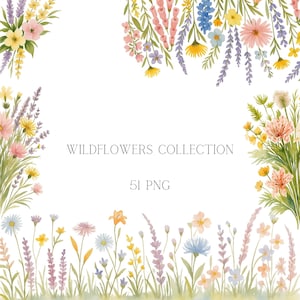 Watercolor Wildflower Clipart: Spring Floral PNG Bundle (Digital Download)