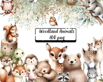 Watercolor Woodland Animals Clipart: 100 PNG Nursery Decor (Digital Download)