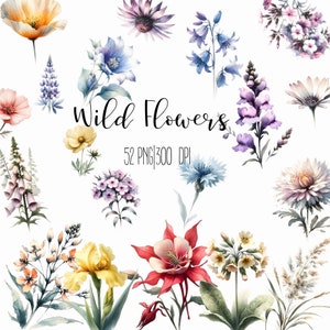 Watercolor Wildflower Clipart: Floral PNG Elements (3500x3500 px)