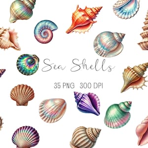 Aquarel schelpen clipart, schelp png, onder de zee clipart, zomer strand clipart, schelpen illustraties, parelmoer clipart