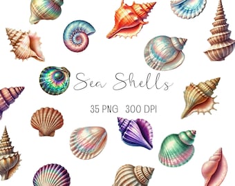 Watercolor Seashells Clipart: 35 PNG Illustrations (Digital Download)