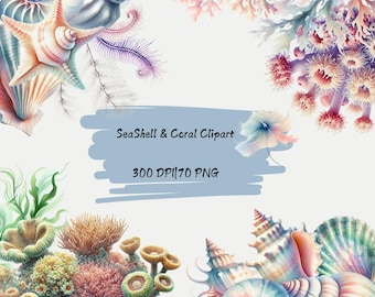 Clipart di conchiglie e coralli ad acquerello: 70 file PNG (download digitale)