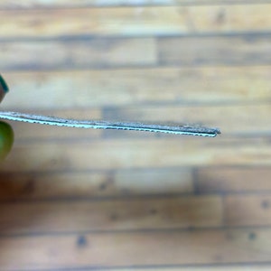 May include: Close-up of the edge of a piece of cardboard. The cardboard is brown and has a slightly rough texture.