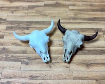 アメリカバイソンの頭蓋骨のレプリカ - 1:6 スケールサイズ。ご家庭の