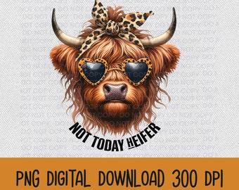 Not Today Heifer Png, Western Png, Turquoise Png, Highland Cow Png ...