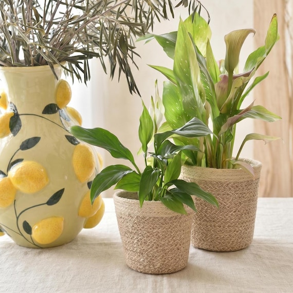 Blumentopf aus Seegras - Boho Vase