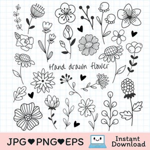 Clipart de flores dibujadas a mano / Arte floral lineal en blanco y negro PNG JPG EPS / Garabatos botánicos imprimibles para tarjetas, pegatinas y manualidades