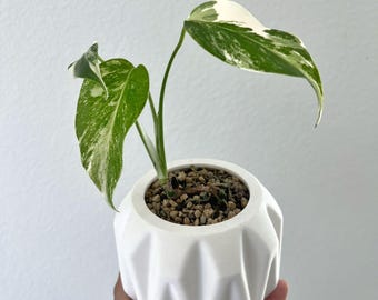 Geometric Pot Stash: Hidden Compartment Planter - 3D Printed