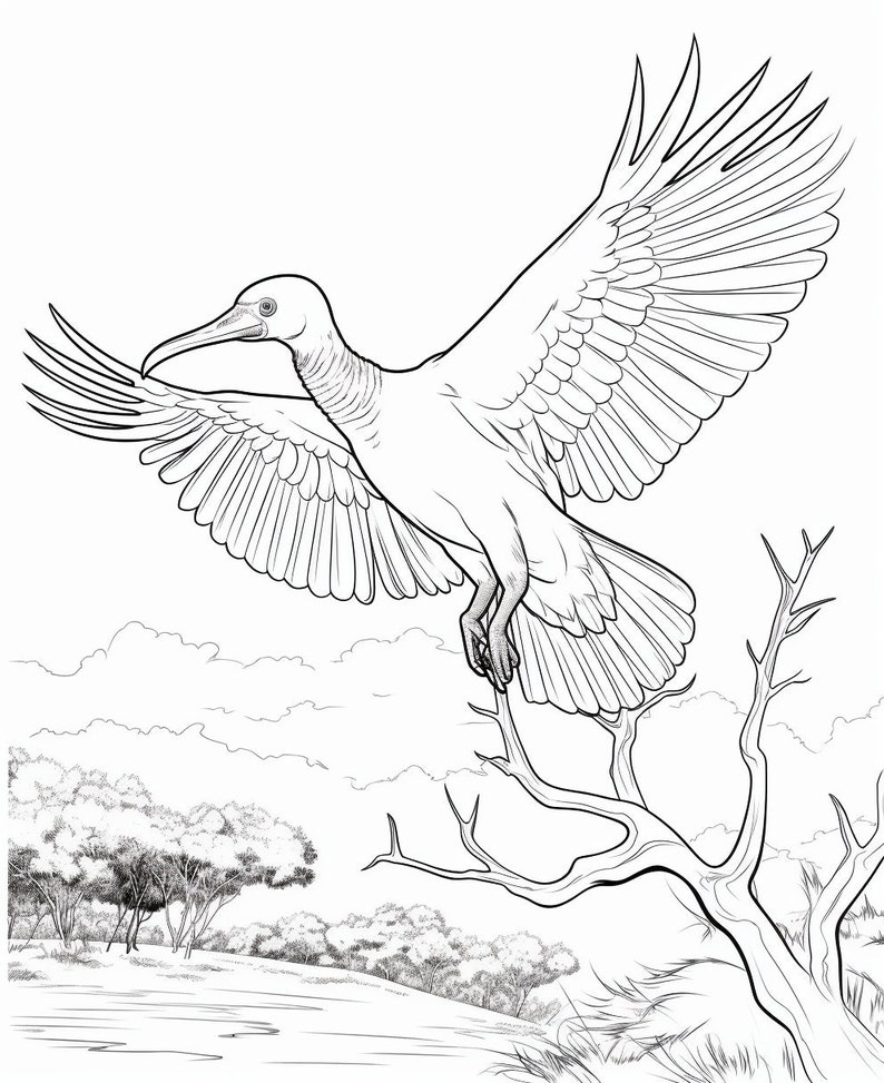 Trinidad & Tobago Coloring Page Instant Download - Etsy