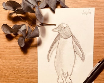 Cute Penguin Postcard