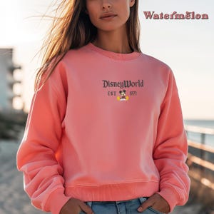 May include: A pink sweatshirt with the text "DisneyWorld EST 1971" and a small image of Mickey Mouse.