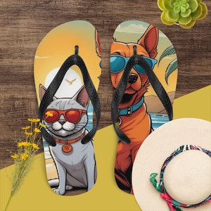 Flip-Flops