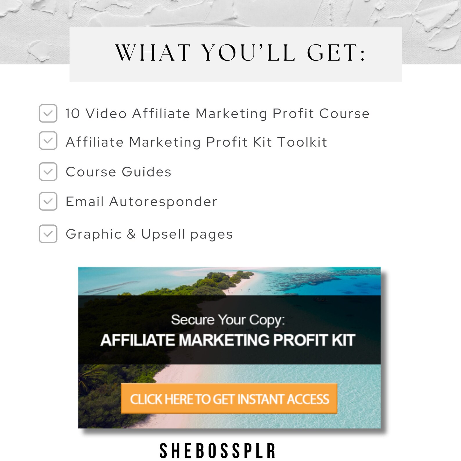 Affiliate Marketing Course: Master Resell Rights, MRR (digital Download ...
