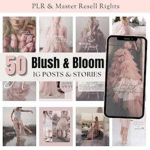 Social Media Posts Editable Canva Template Instagram Stories Master Resell Rights Done For You Digital Product Instagram Posts Stories PLR