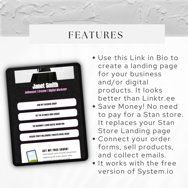 Systeme io Landing Page Website Template DFY MRR Product Website Sales Template Link in Bio Bundle for Systeme.io Digital Product Resell