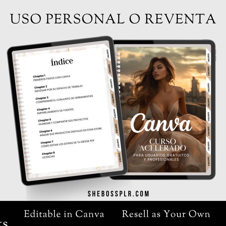 Canva Crash Course in Spanish Master Resell Rights Course MRR Canva Course Canva Template Instant Download PLR MRR Course