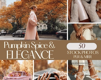 Autumn Stock Photos Fall Images Brown Collection AI Generated PLR & MRR Images (Digital Download)