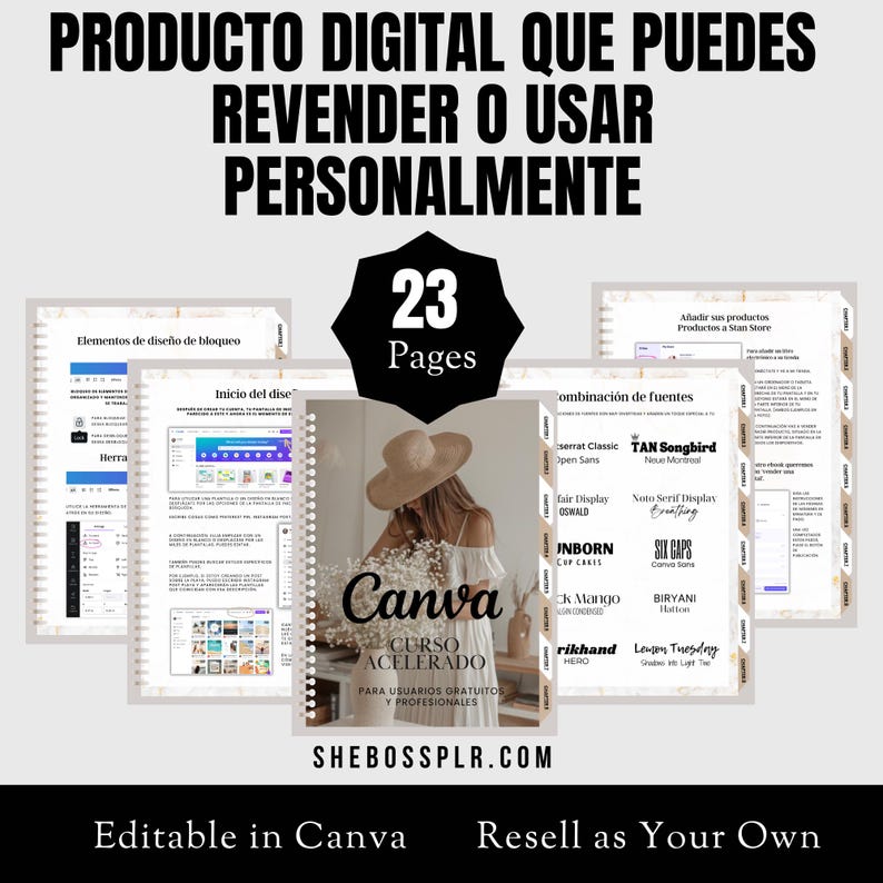 Canva Crash Course in Spanish Master Resell Rights Course MRR Canva Course Canva Template Instant Download PLR MRR Course