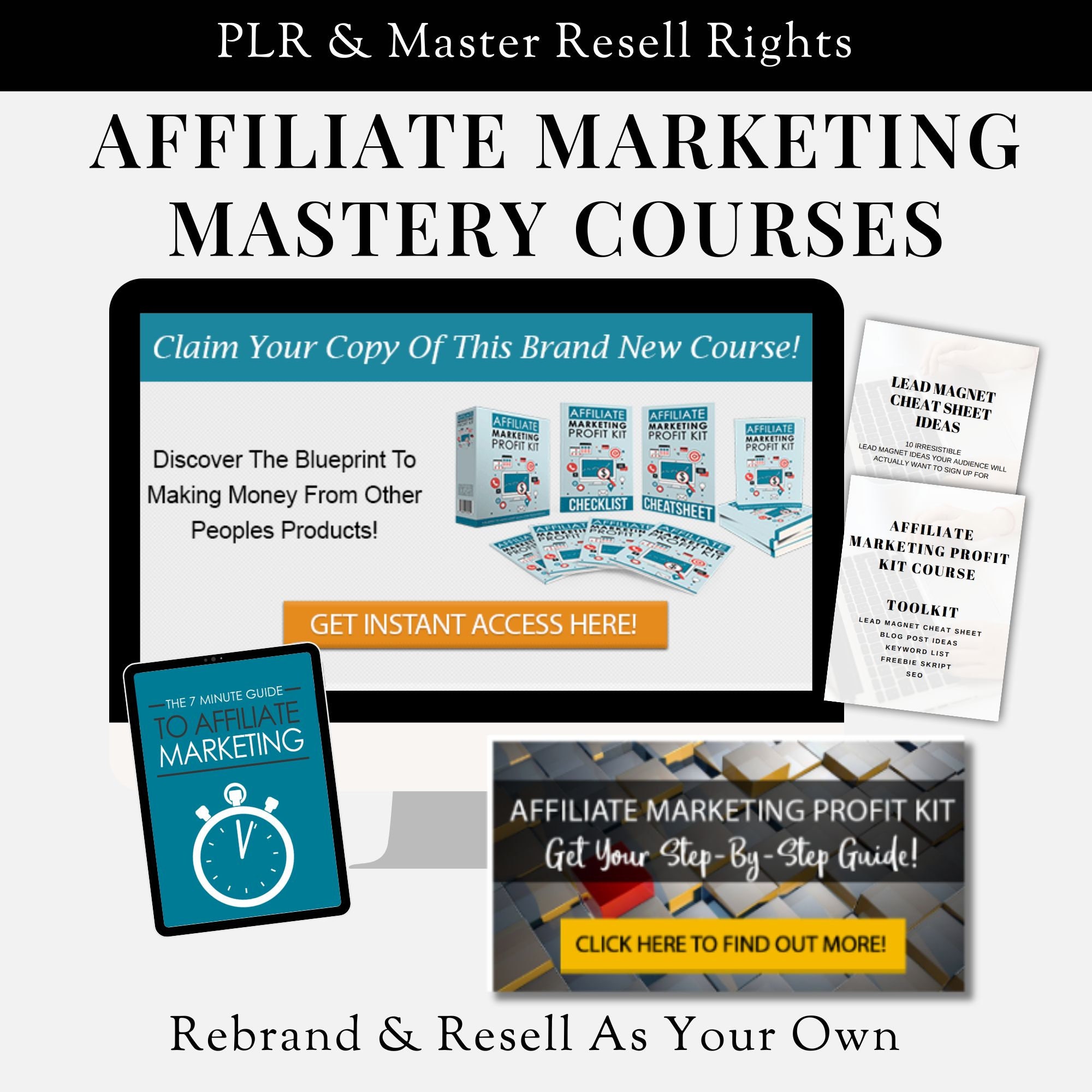 Affiliate Marketing Course: Master Resell Rights, MRR (digital Download ...