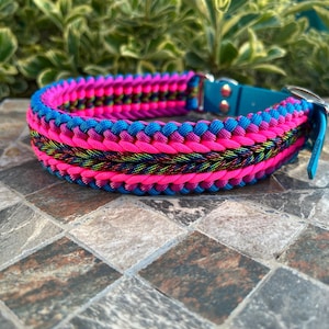 May include: A colourful dog collar with a braided design in bright pink, blue, and black. The collar has a teal leather strap and a silver metal clasp. The braided section is approximately 2.5 cm wide.