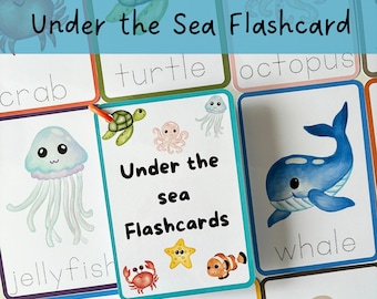 Tarjetas didácticas sobre el mundo marino, recursos de aprendizaje para niños pequeños, tarjetas didácticas sobre la vida marina, material educativo para la educación en casa, aprendizaje del hábitat oceánico