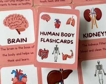 Tarjetas didácticas del cuerpo humano para niños, tarjetas didácticas de las partes del cuerpo, tarjetas de aprendizaje de anatomía, aprendizaje de las partes del cuerpo humano para niños, educación en casa, ciencias para niños