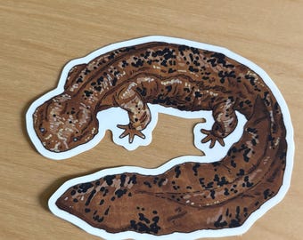 Hellbender Salamander Vinyl Sticker, Die-Cut Matte Sticker