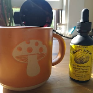 Lion&#39;s Mane Tincture; D.B. Fungi&#39;s Brain Juice