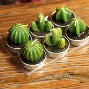 Mini Cactus Candles zdjęcie 1