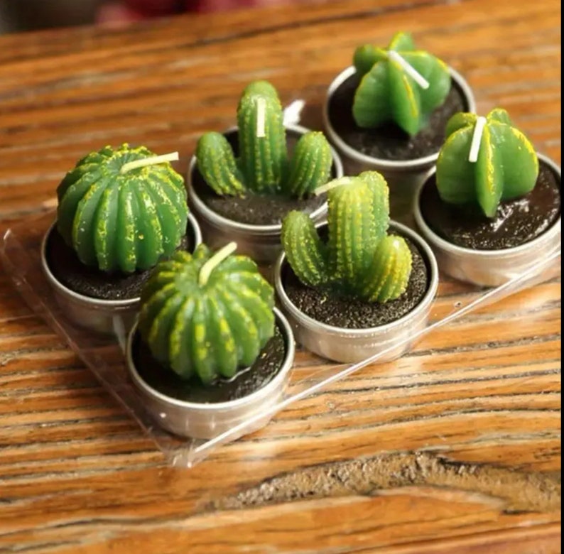 Mini Cactus Candles zdjęcie 1