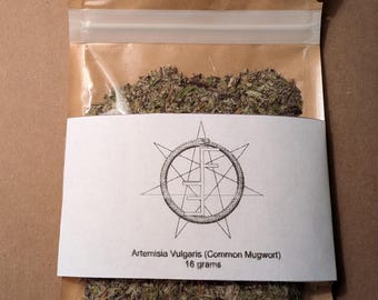 Artemisia vulgaris (hoja de hierba silvestre natural)