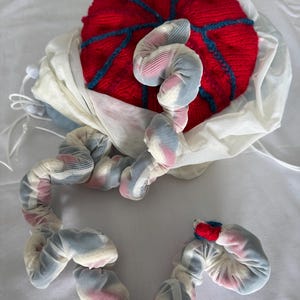 Modelo de Ensino sobre Placenta, Cordão Umbilical e Saco Amniótico/Coriônico
