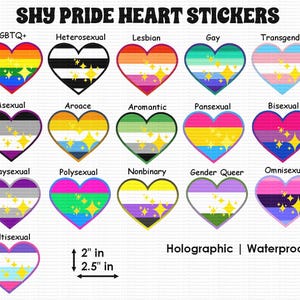 May include: A set of 15 holographic pride heart stickers, each featuring a different pride flag design. The stickers are 2 inches in diameter and are waterproof. The flags include LGBTQ+, heterosexual, lesbian, gay, transgender, asexual, aroace, aromantic, pansexual, bisexual, graysexual, polysexual, nonbinary, gender queer, and omnisexual.