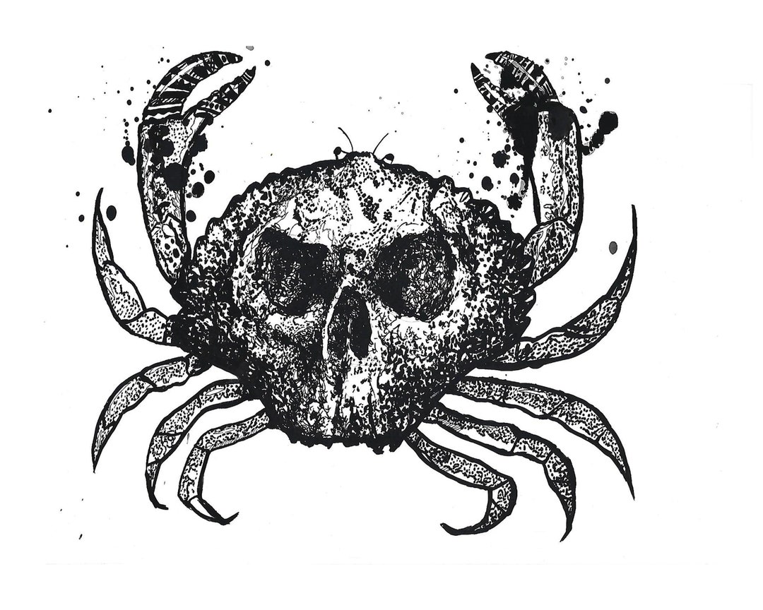 Skull Crab Ink Sketch Goth Crustacean Illustration Sea Creature ...