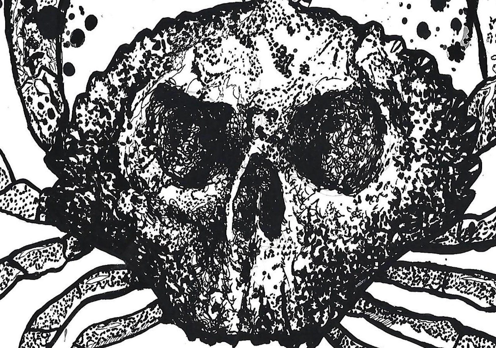 Skull Crab Ink Sketch Goth Crustacean Illustration Sea Creature ...