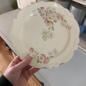 Vintage 1960s Cream Virginia Rose Dinner Plates Vintage 1960s Cream Virginia Rose Dinner Plates