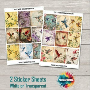 Colibríes antiguos - Set completo de pegatinas - Correo feliz - Diario basura - Álbum de recortes - Amigo por correspondencia - Postcrossing - Planificadores - Manualidades