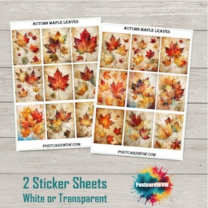 Peut inclure: Deux planches d'autocollants avec des illustrations à l'aquarelle de feuilles d'érable d'automne rouges, oranges et jaunes. Le texte "AUTUMN MAPLE LEAVES" est en haut et "POSTCARDWOW.COM" en bas. Le texte "2 Sticker Sheets White or Transparent" est en bas.