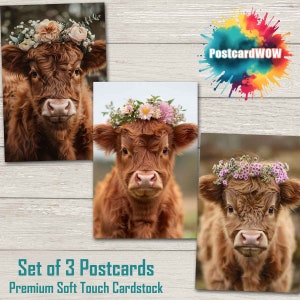 Highland Cows - Set de cartes postales - Correspondants - Postcrossing - Echange - Art - Design unique