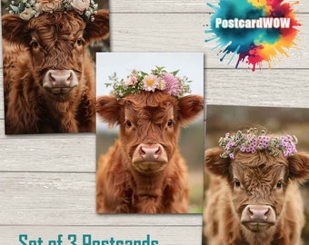 Highland Cows Postcard Set