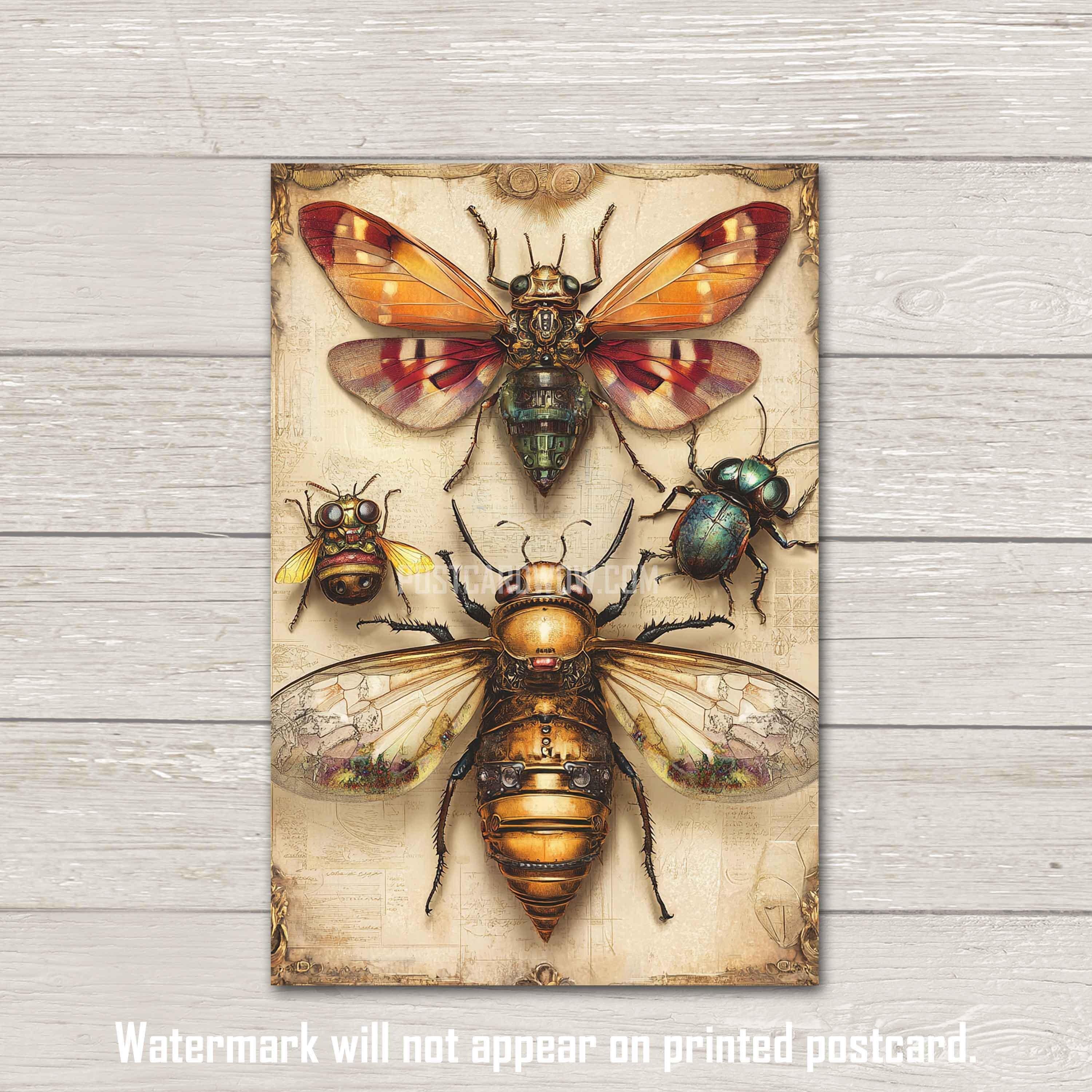 Swaps And Insects Steampunk Insects - Postcard Set - Penpals - Postcrossing - Swap - Art ...