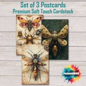 Steampunk Insects -  Postcard Set - Penpals - Postcrossing - Swap - Art - Unique Design