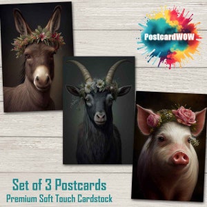 Farm Friends - Set de cartes postales - Correspondants - Postcrossing - Echange - Art - Design unique