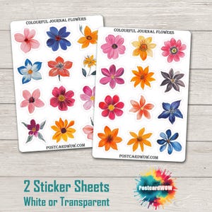 Flores coloridas de diário - Conjunto de adesivos - Correio feliz - Diário de lixo - Álbum de recortes - Amigo por correspondência - Postcrossing