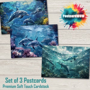 Dauphins - Lot de cartes postales - Correspondants - Postcrossing - Echange - Art - Design unique