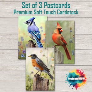 Pájaros de primavera - Juego de postales - Amigos por correspondencia - Intercambio de postales - Arte - Diseño único